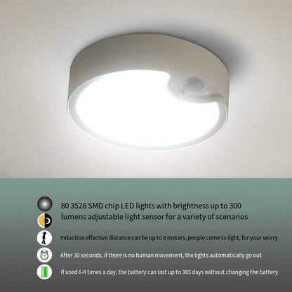 80LED Induction Ceiling Light for Home and Bedroom