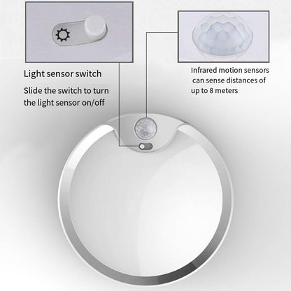 80LED Induction Ceiling Light for Home and Bedroom