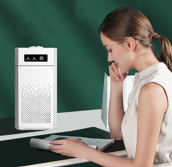 Air Purifier for Home | Clean & Fresh Indoor Air