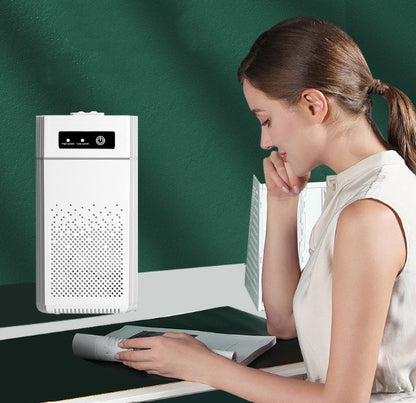 Air Purifier for Home | Clean & Fresh Indoor Air