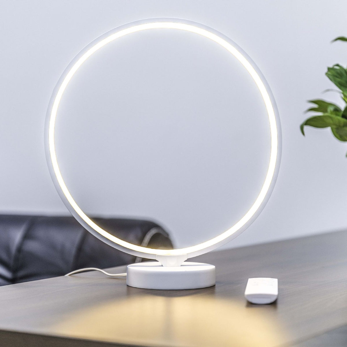 Full Moon Table Night Lamp